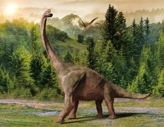 Obrázek z Magnet 3D 7x9cm - brachiosaurus (25) 